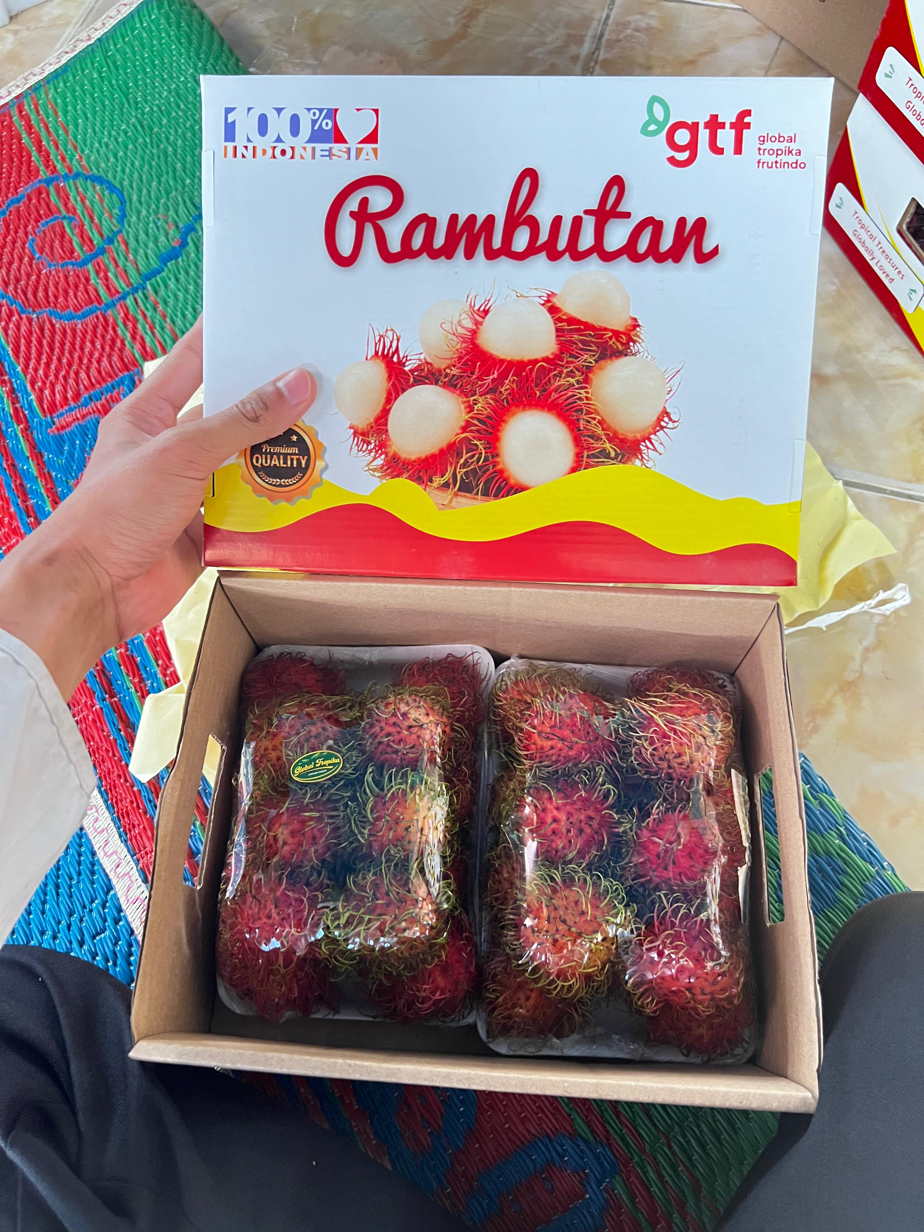 The Excellence and Quality of Indonesian Rambutan A Premier Tropical Choice